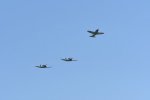 Dcim18095/DSC_2403
