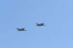 Dcim18095/DSC_2407