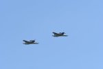 Dcim18095/DSC_2408