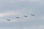 Dcim18096/DSC_2443