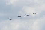 Dcim18096/DSC_2444