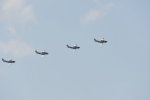 Dcim18096/DSC_2445