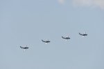 Dcim18096/DSC_2446