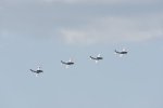 Dcim18096/DSC_2448