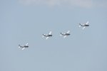 Dcim18096/DSC_2449