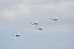 Dcim18096/DSC_2451