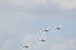 Dcim18096/DSC_2453