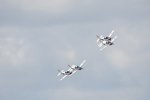 Dcim18096/DSC_2455