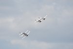 Dcim18096/DSC_2456