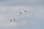 Dcim18096/DSC_2458