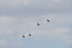 Dcim18096/DSC_2459