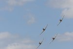 Dcim18096/DSC_2463
