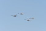 Dcim18096/DSC_2473