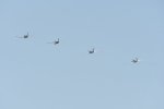 Dcim18096/DSC_2479