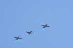 Dcim18096/DSC_2515