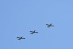 Dcim18096/DSC_2516