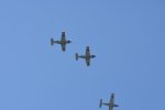Dcim18096/DSC_2517
