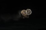 Dcim18111/DSC_3664