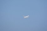 Dcim18112/DSC_8752