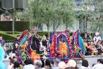 Dcim18123/DSC_4455