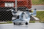 Dcim18132/DSC_5515