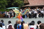 Dcim18148/DSC_6951
