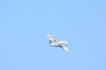 Dcim18161/DSC_0409