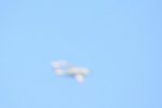 Dcim18161/DSC_0411