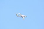 Dcim18161/DSC_0412