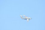 Dcim18161/DSC_0413