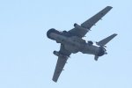Dcim18161/DSC_0449