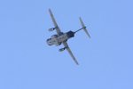 Dcim18161/DSC_0454