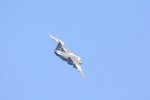 Dcim18161/DSC_0456