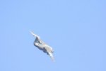 Dcim18161/DSC_0457