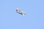 Dcim18161/DSC_0459