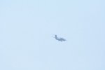 Dcim18161/DSC_0461