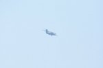 Dcim18161/DSC_0462