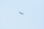 Dcim18161/DSC_0463