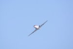 Dcim18161/DSC_0588