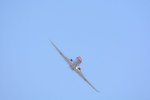 Dcim18161/DSC_0601