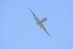 Dcim18161/DSC_0602