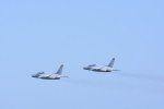Dcim18161/DSC_0613