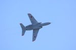 Dcim18162/DSC_0618