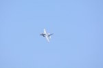 Dcim18162/DSC_0625