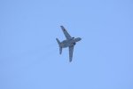 Dcim18162/DSC_0628