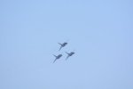 Dcim18162/DSC_0650
