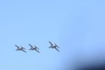 Dcim18162/DSC_0662