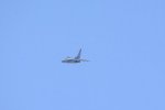 Dcim18162/DSC_0685