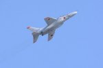Dcim18162/DSC_0696