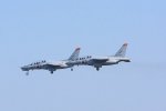 Dcim18162/DSC_0708